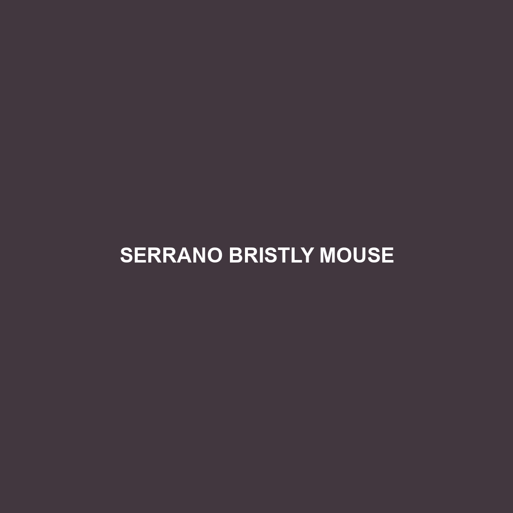 Serrano Bristly Mouse