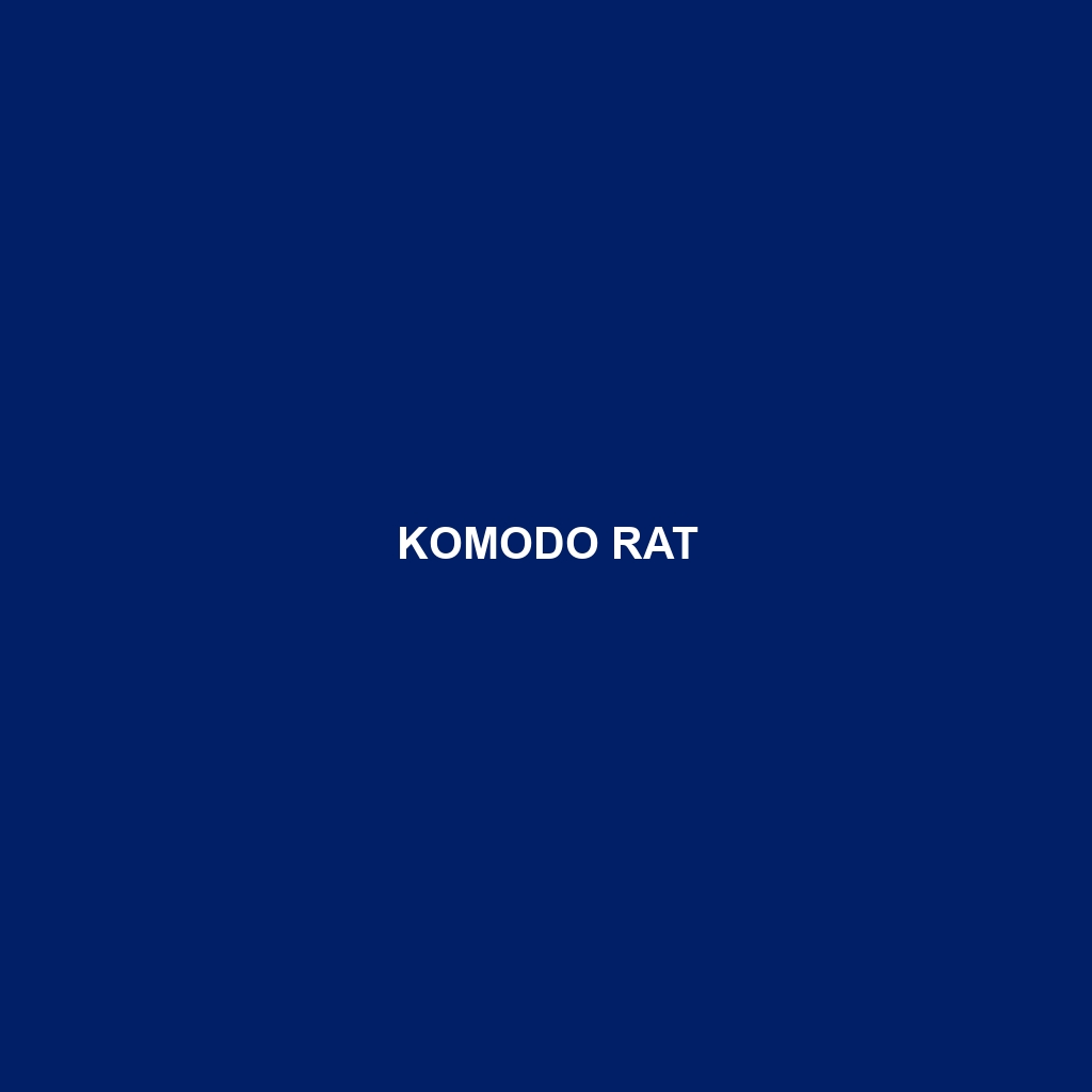 Komodo Rat