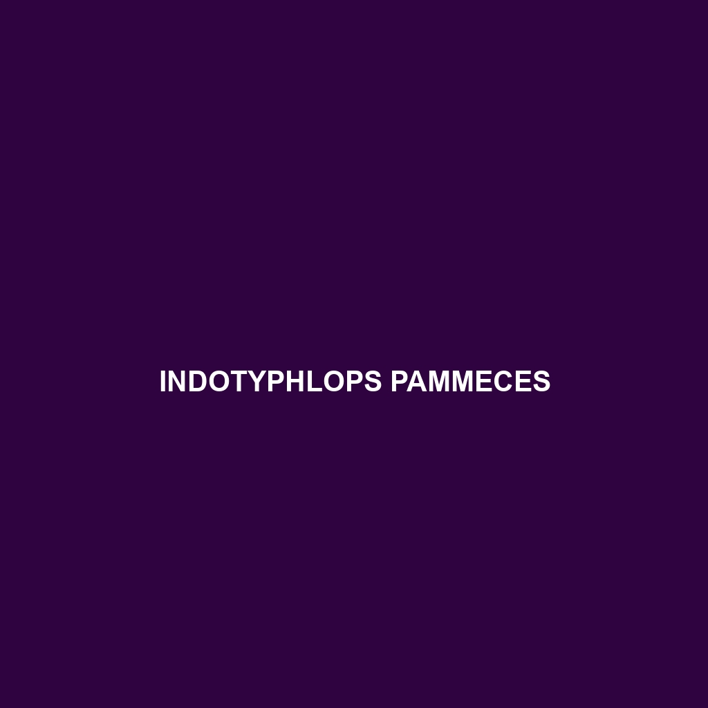 Indotyphlops pammeces