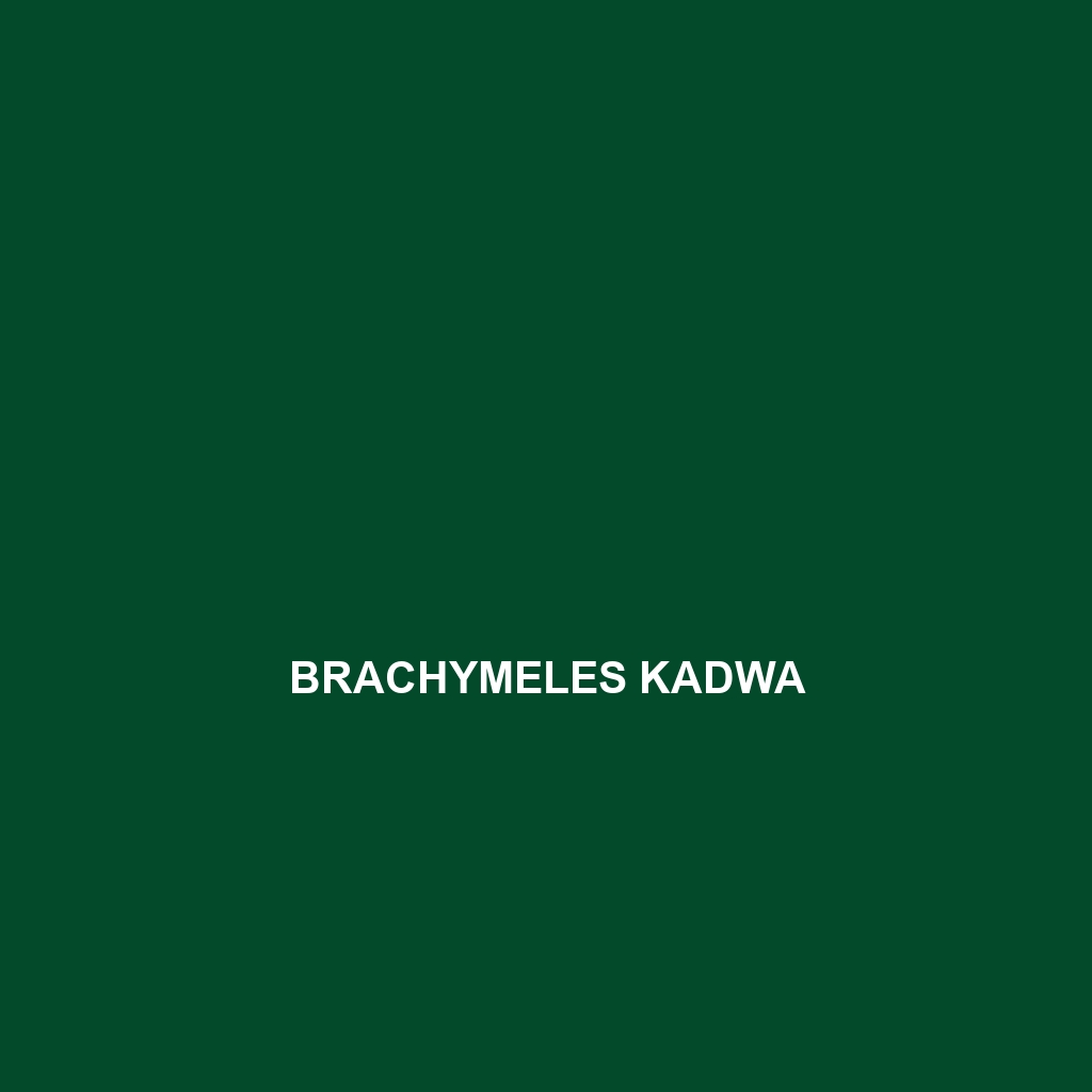 Brachymeles kadwa