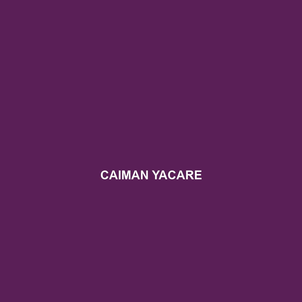 Caiman yacare