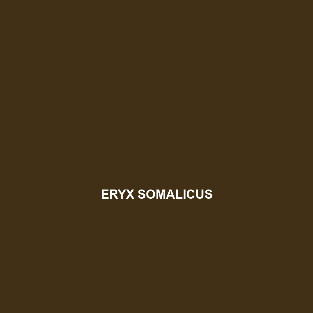 Eryx somalicus