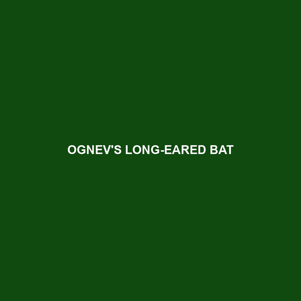 Ognev's Long-eared Bat