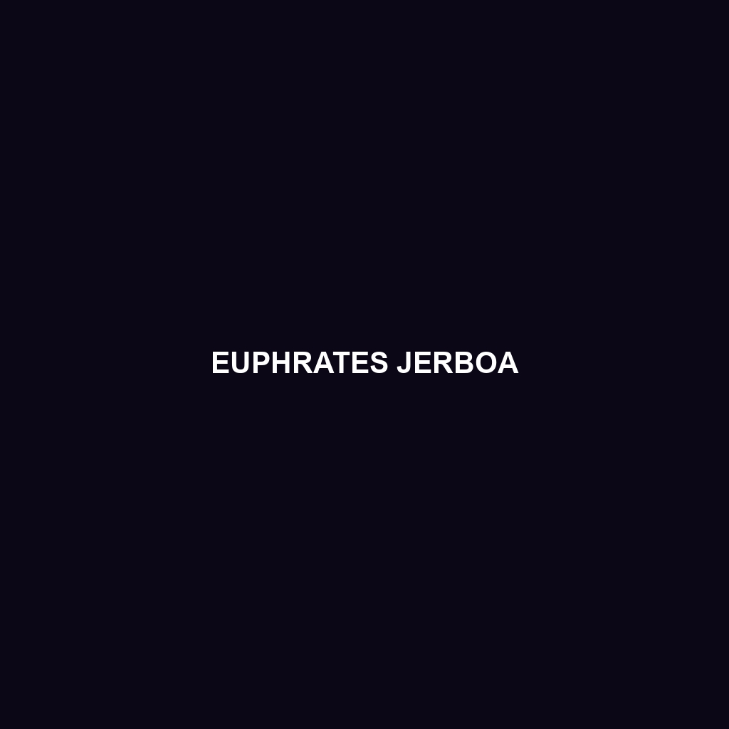 Euphrates Jerboa