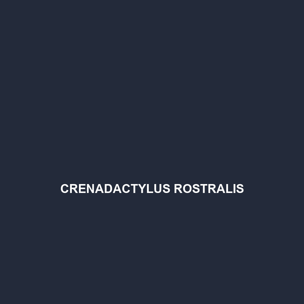 Crenadactylus rostralis