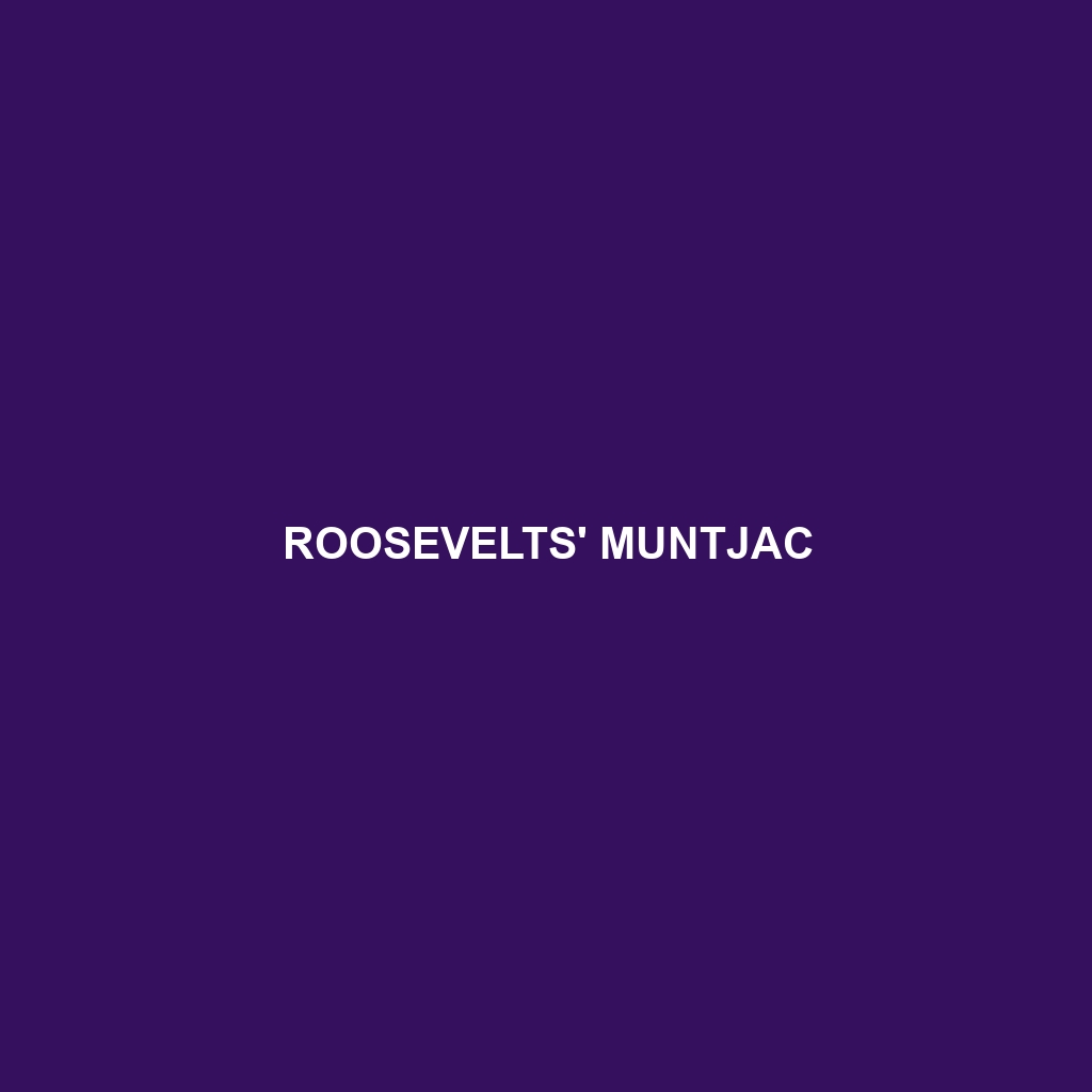 Roosevelts' Muntjac