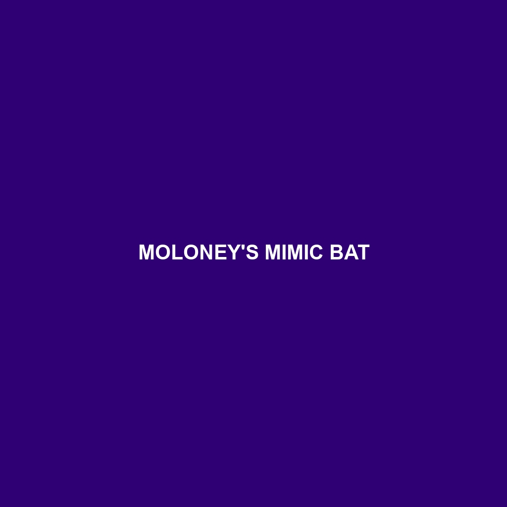 Moloney's Mimic Bat