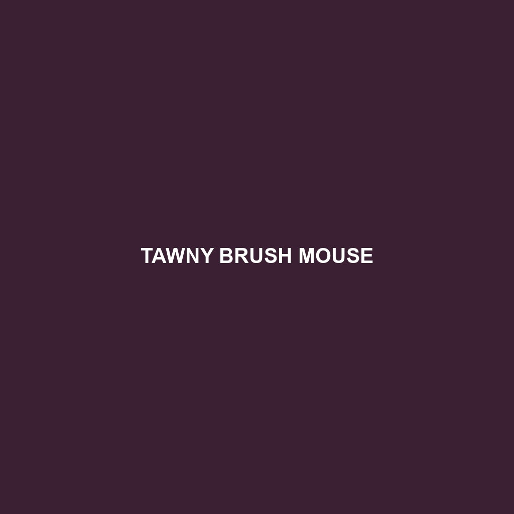 Tawny Brush Mouse