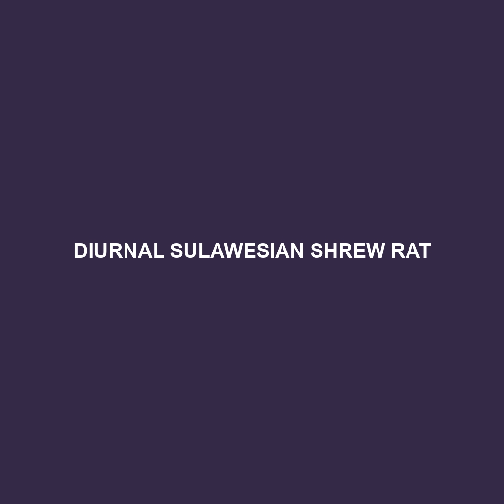 Diurnal Sulawesian Shrew Rat