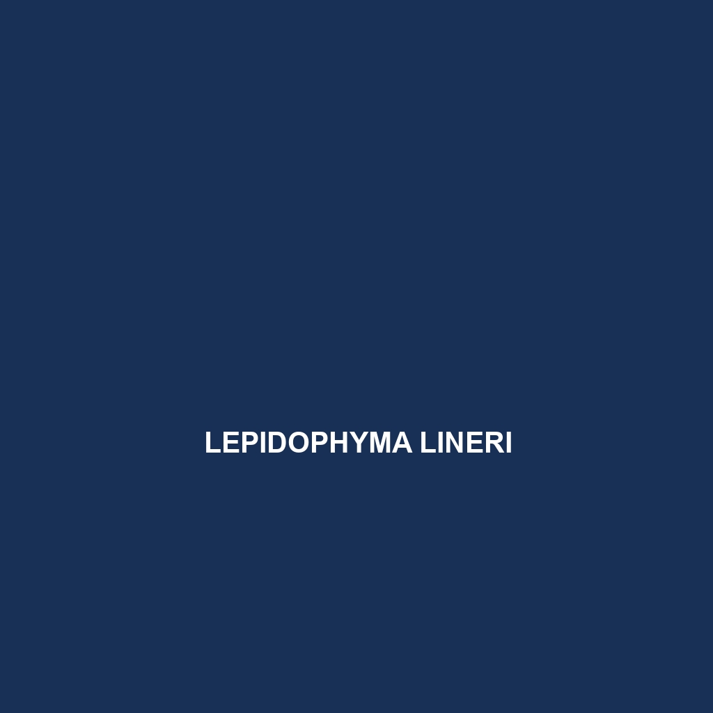 Lepidophyma lineri