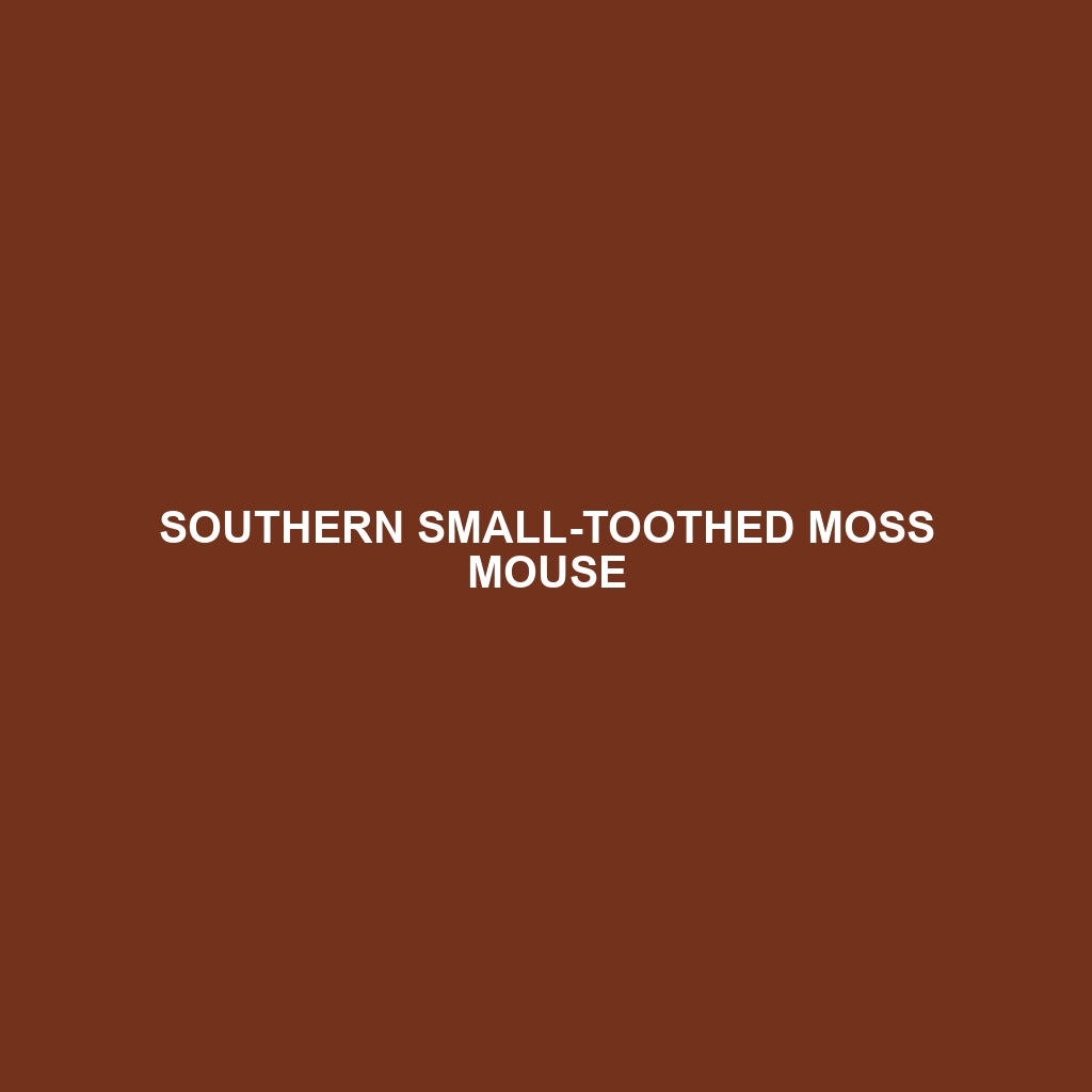 Southern Small-toothed Moss Mouse