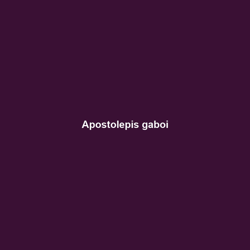 Apostolepis gaboi