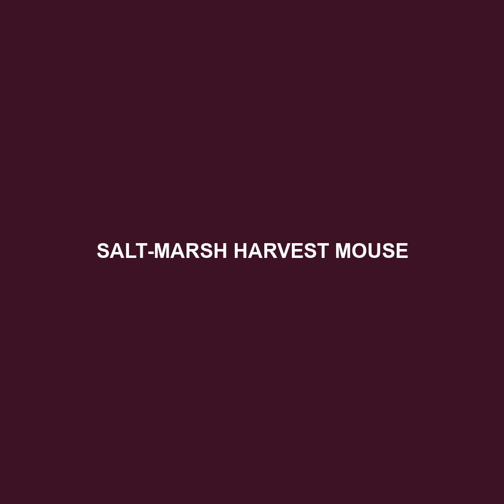 Salt-marsh Harvest Mouse