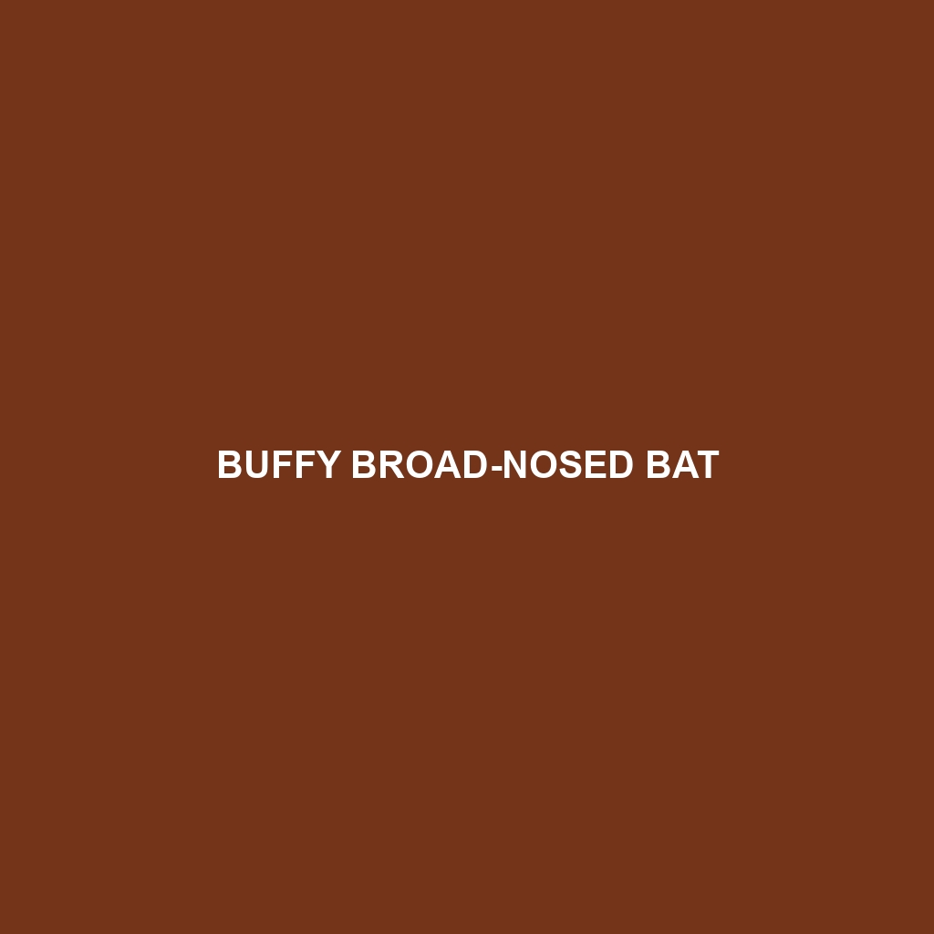 Buffy Broad-nosed Bat