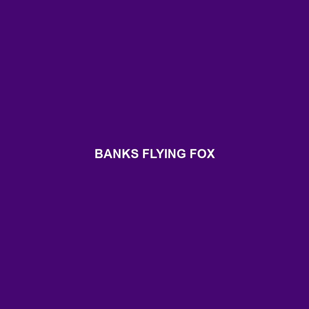 Banks Flying Fox