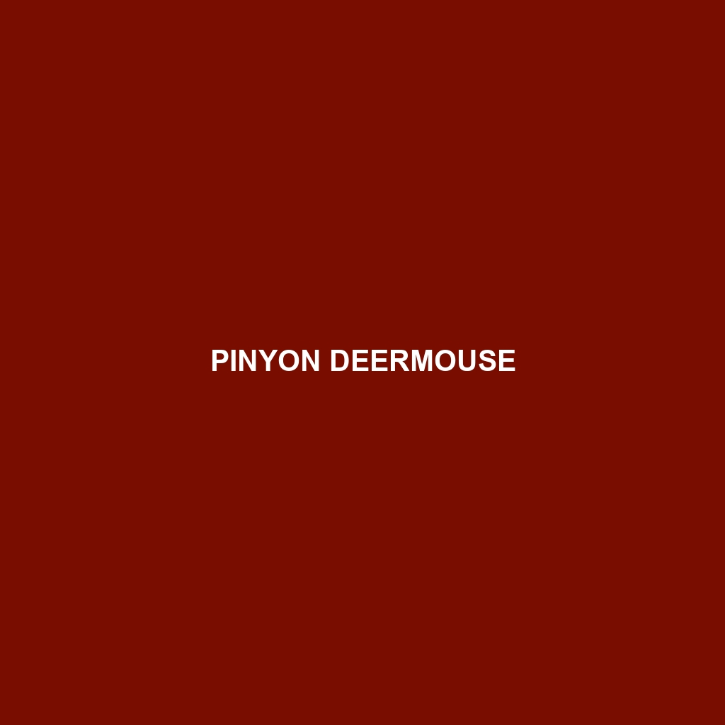 Pinyon Deermouse