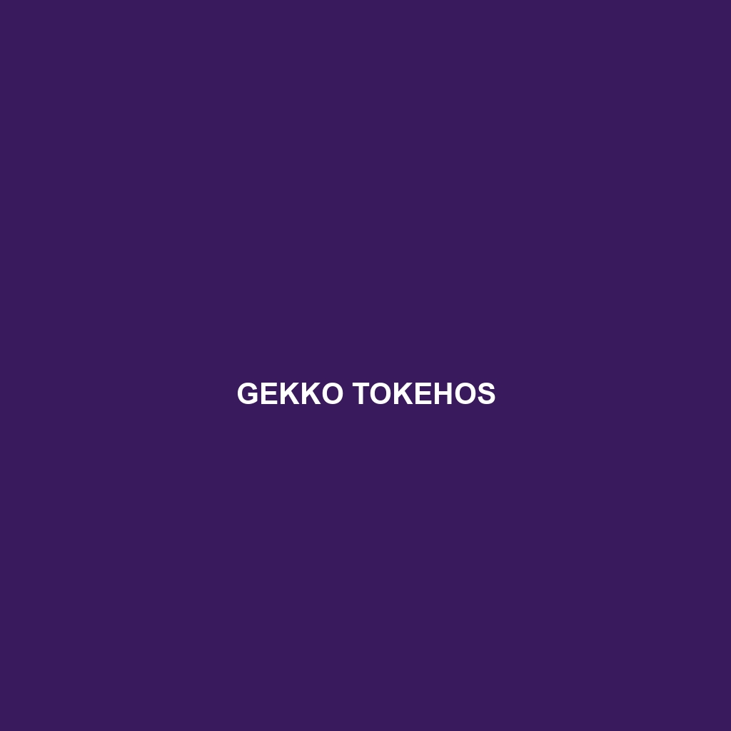 Gekko tokehos