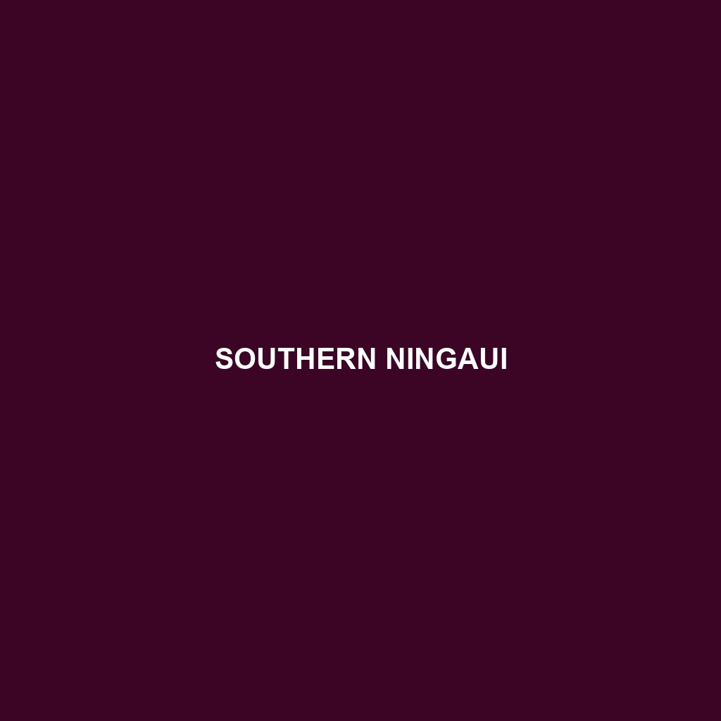 Southern Ningaui