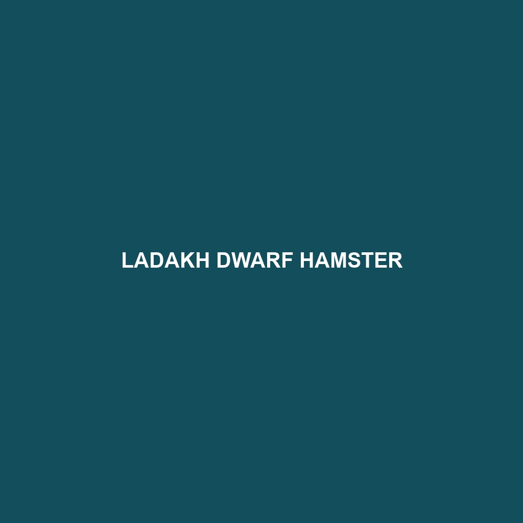 Ladakh Dwarf Hamster