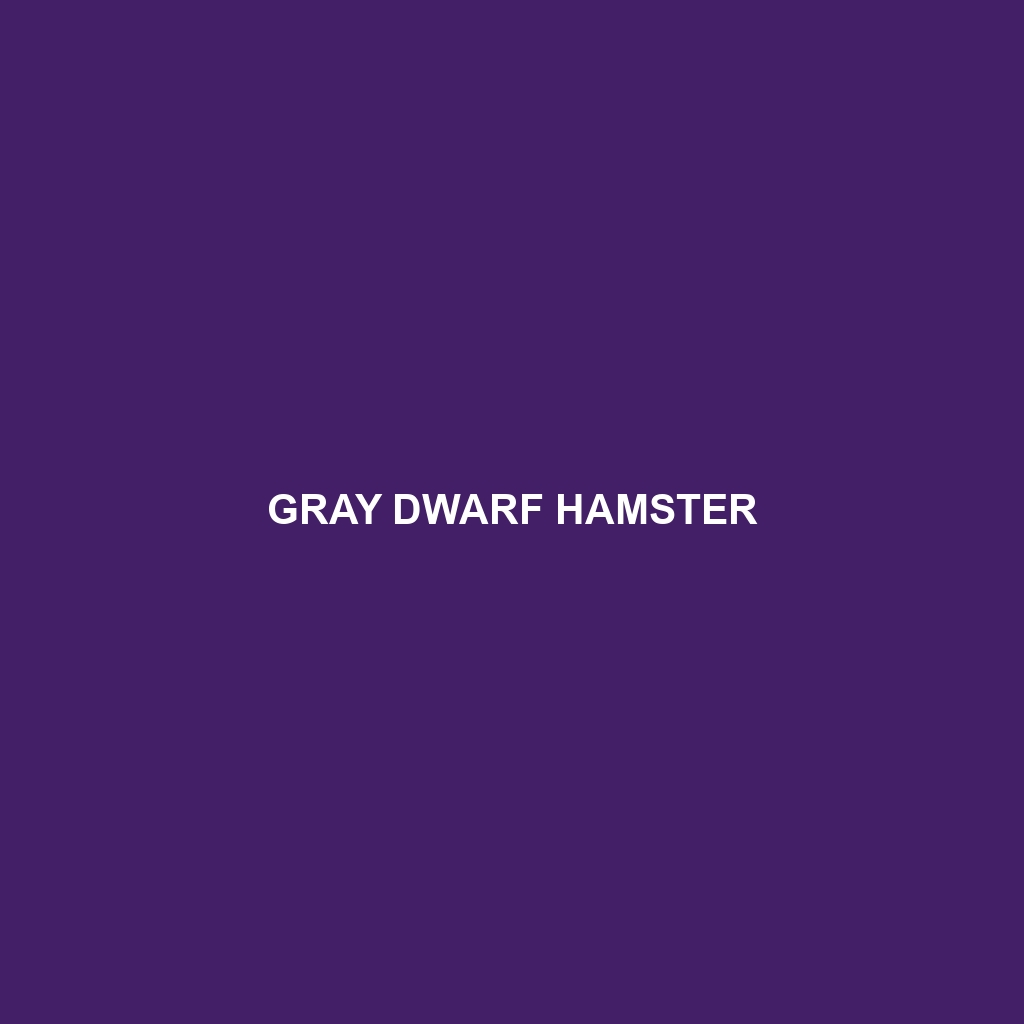 Gray Dwarf Hamster