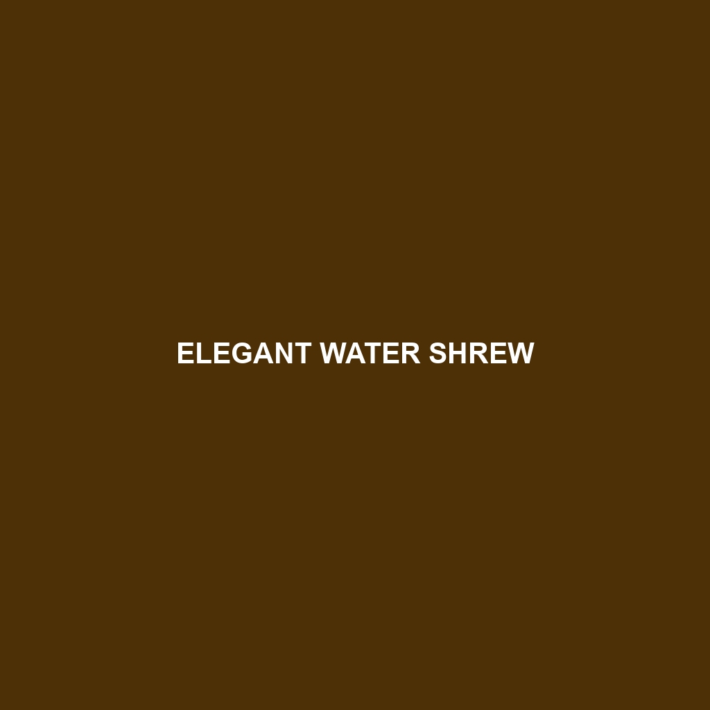 Elegant Water Shrew