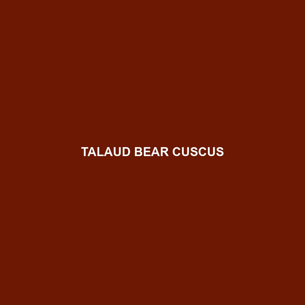 Talaud Bear Cuscus