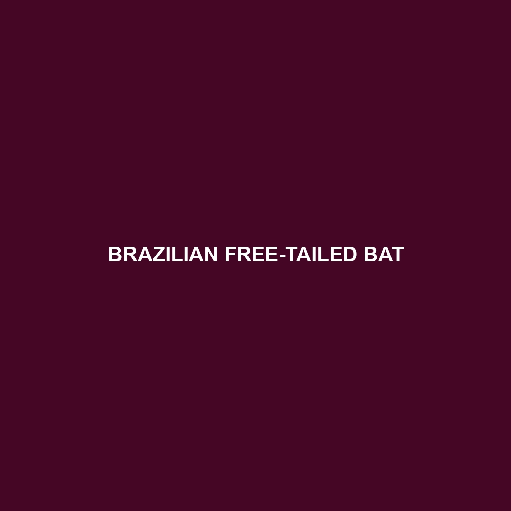 Brazilian Free-tailed Bat