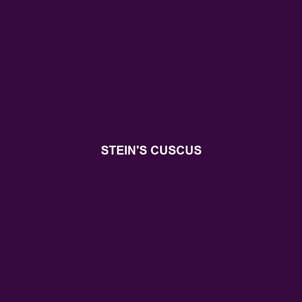 Stein's Cuscus