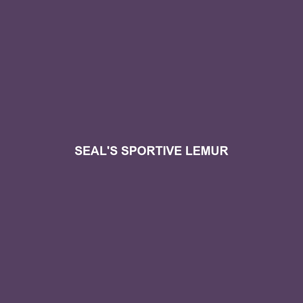 Seal's Sportive Lemur