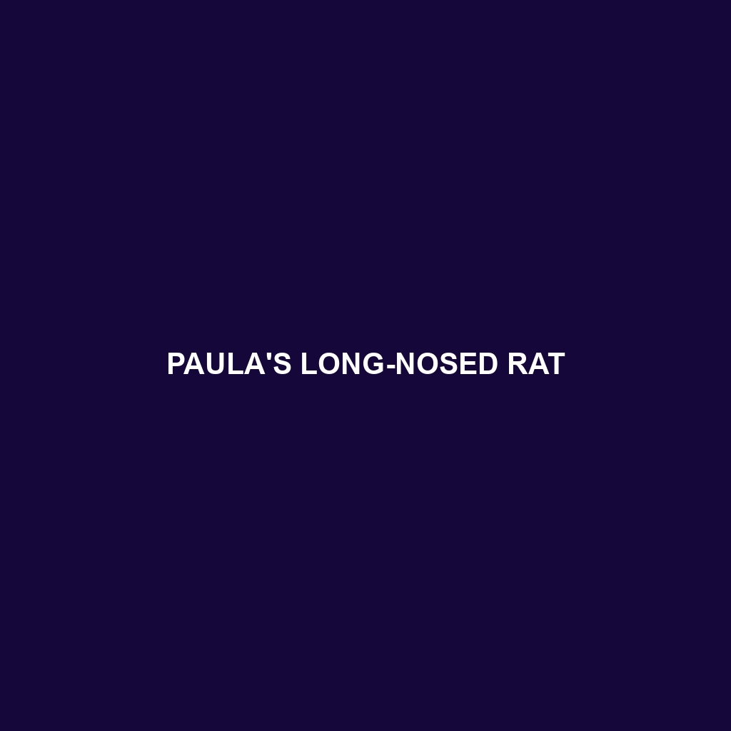 Paula's Long-nosed Rat