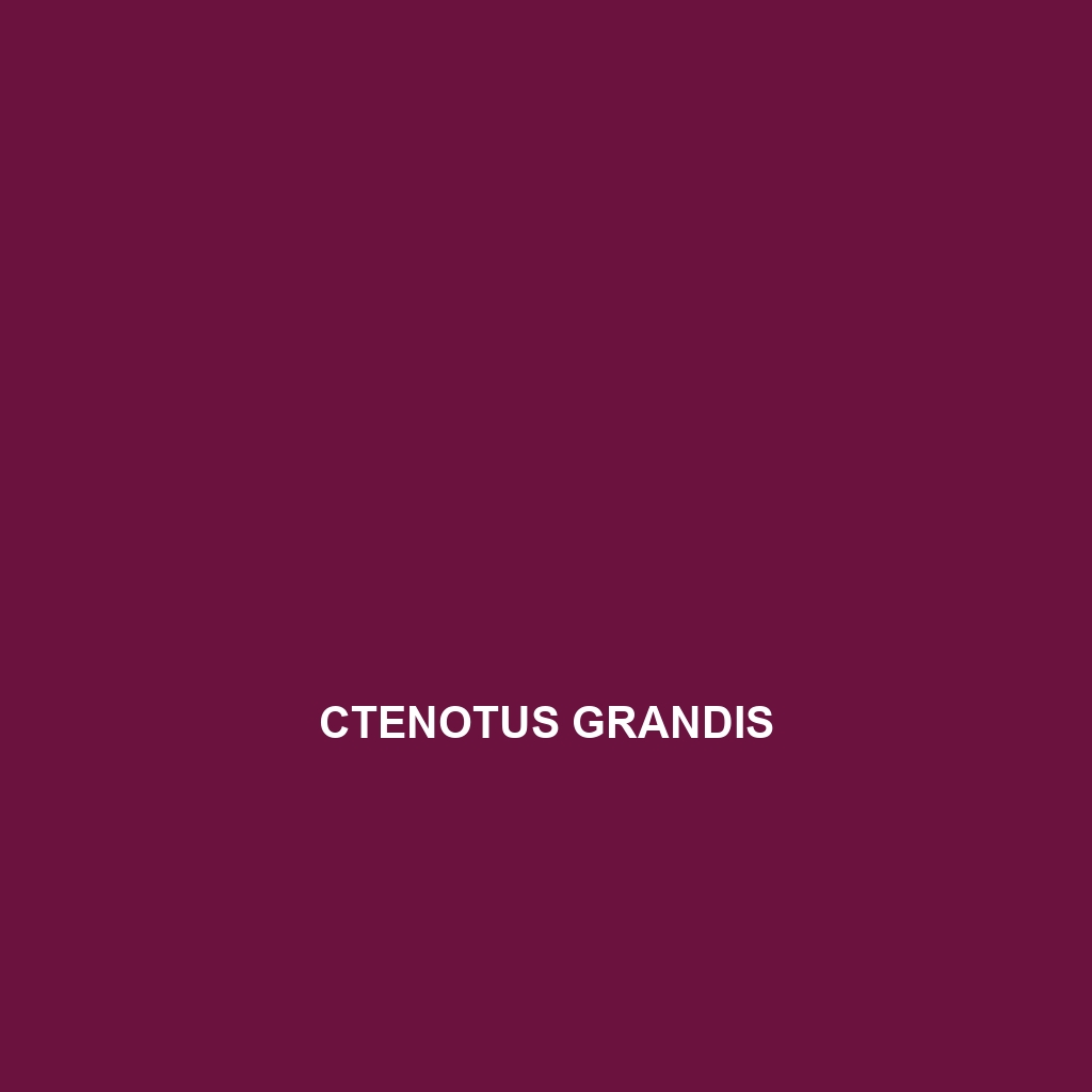 Ctenotus grandis