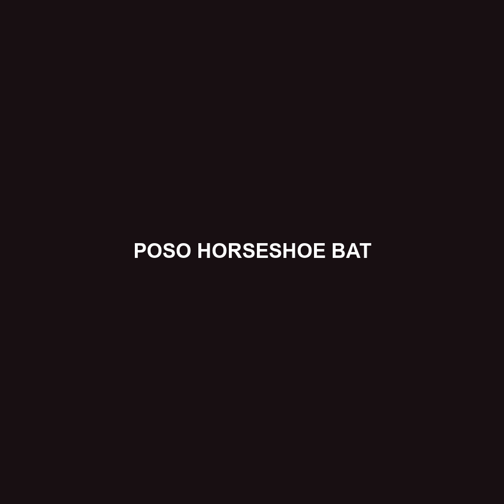 Poso Horseshoe Bat