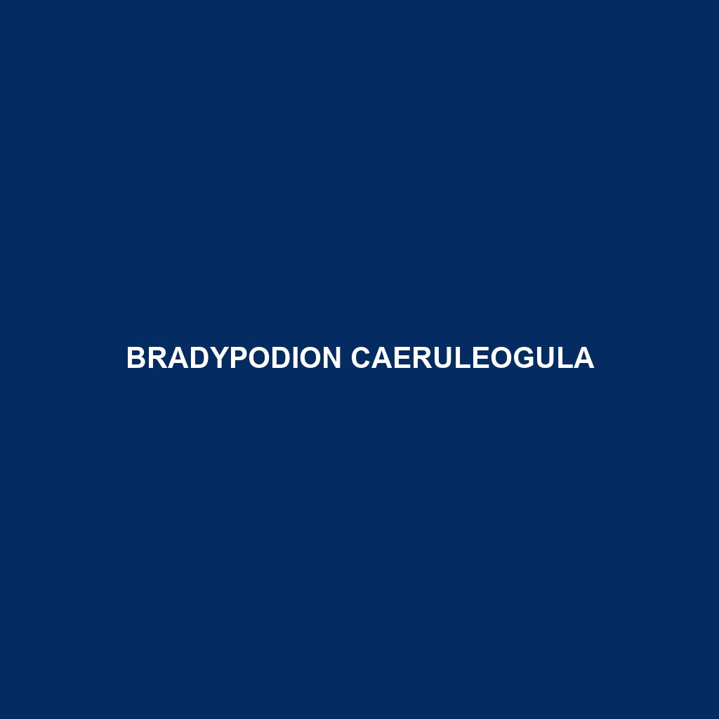 Bradypodion caeruleogula