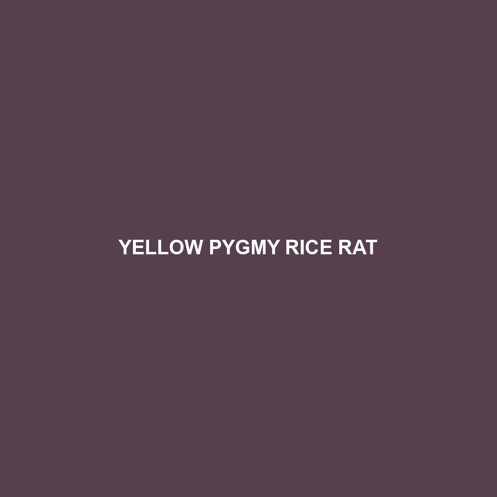 Yellow Pygmy Rice Rat