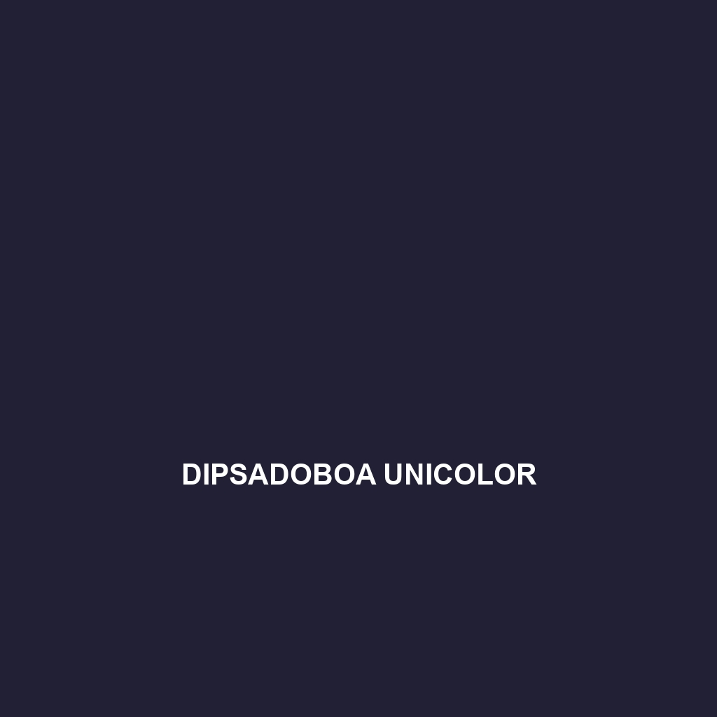 Dipsadoboa underwoodi