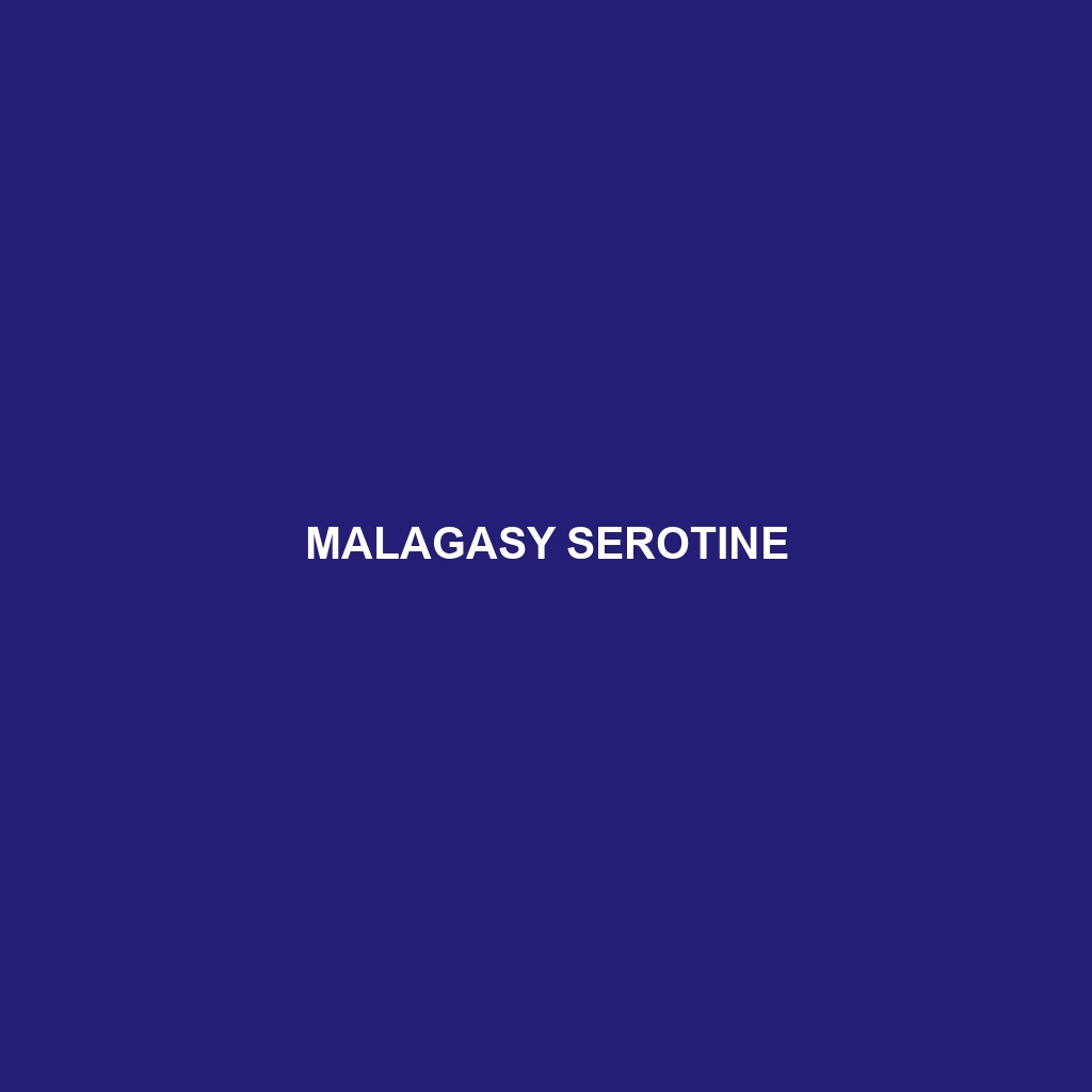 Malagasy Serotine