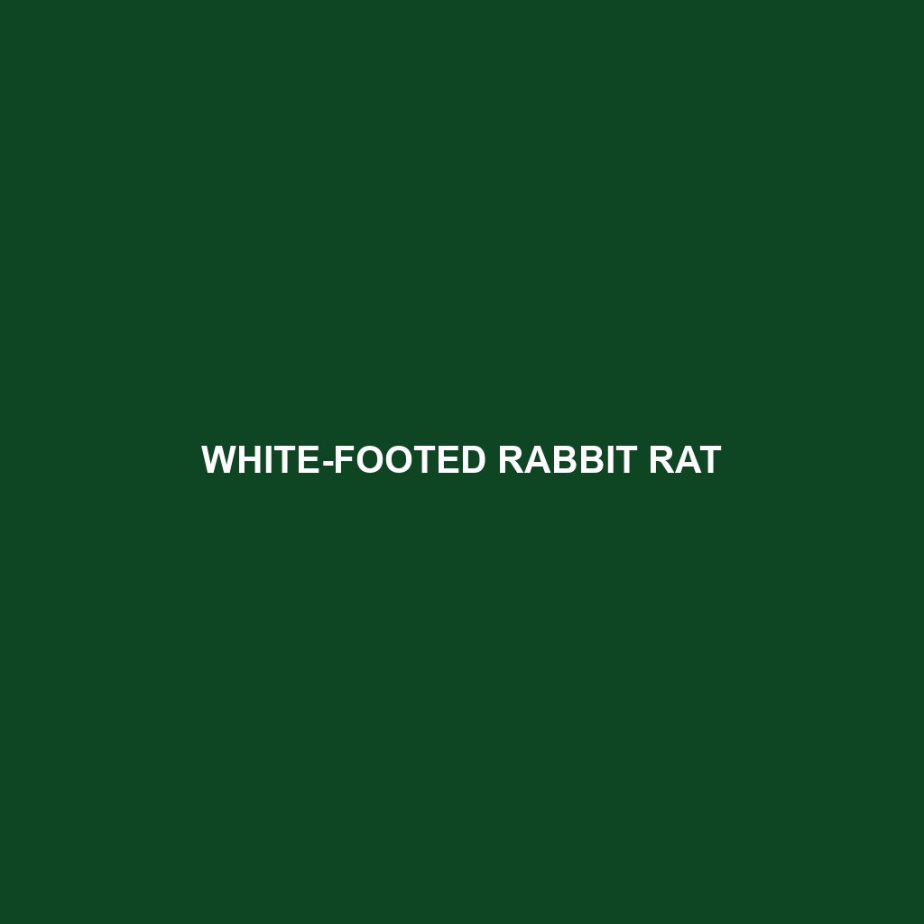 White-footed Rabbit Rat