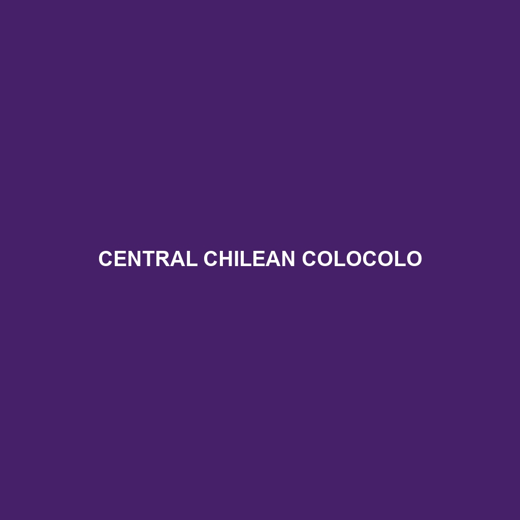 Central Chilean Colocolo