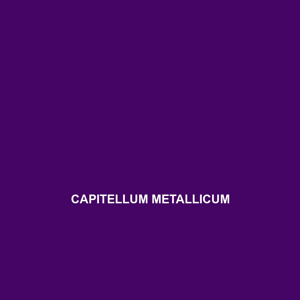 Capitellum metallicum