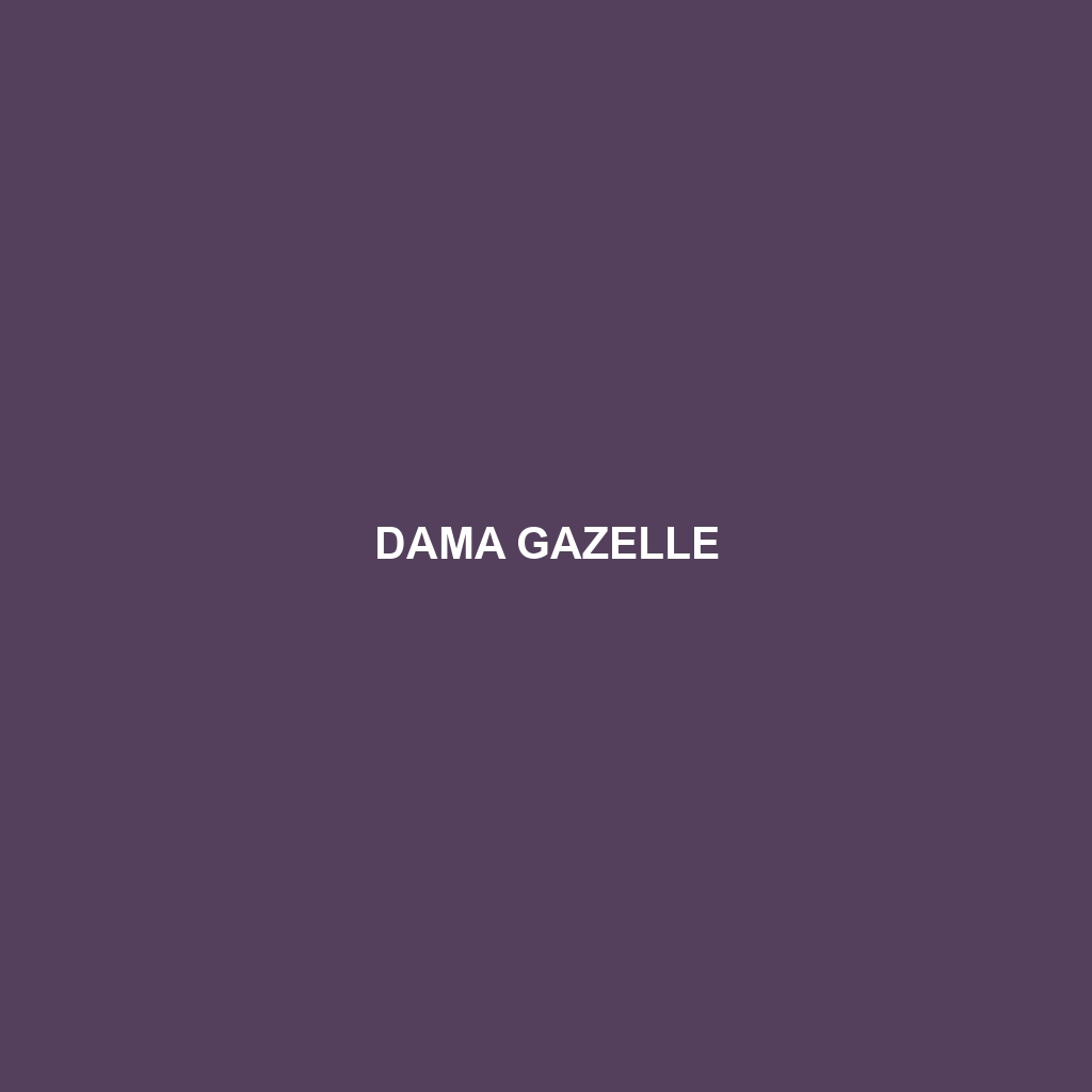 Dama Gazelle