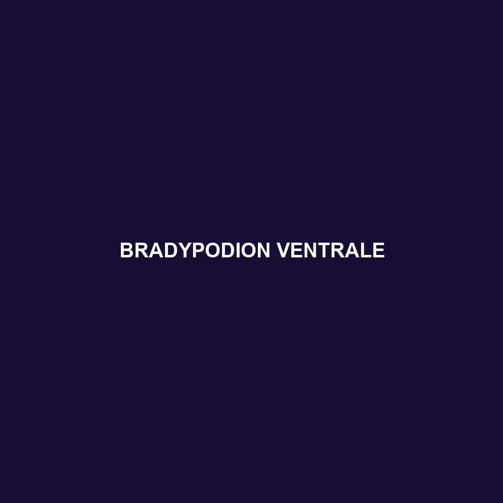 Bradypodion ventrale