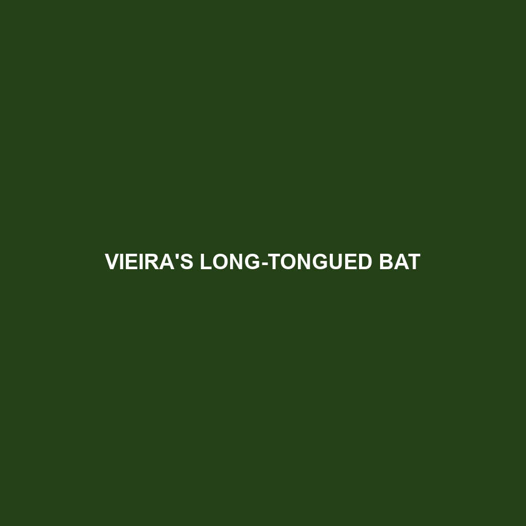 Vieira's Long-tongued Bat