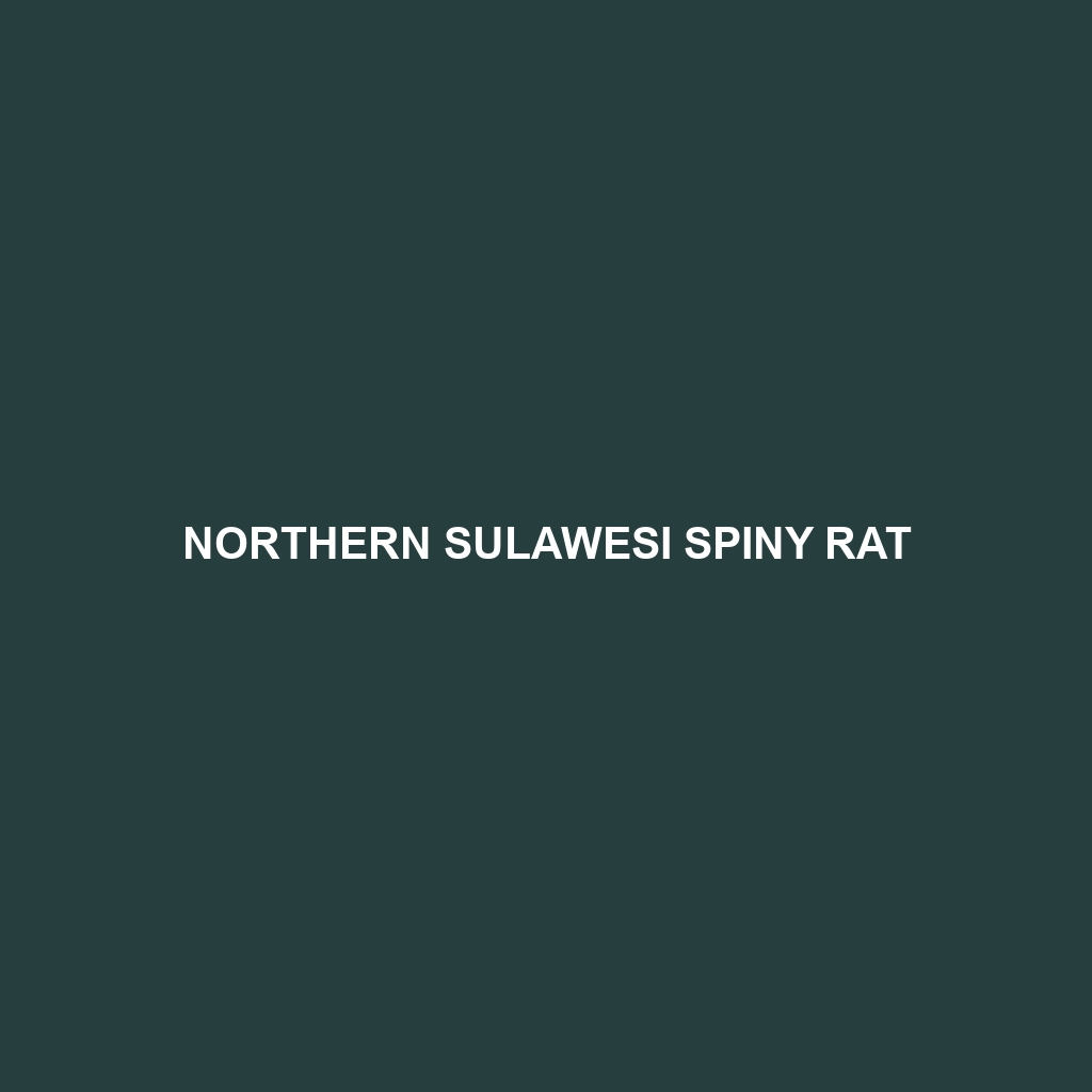 Northern Sulawesi Spiny Rat