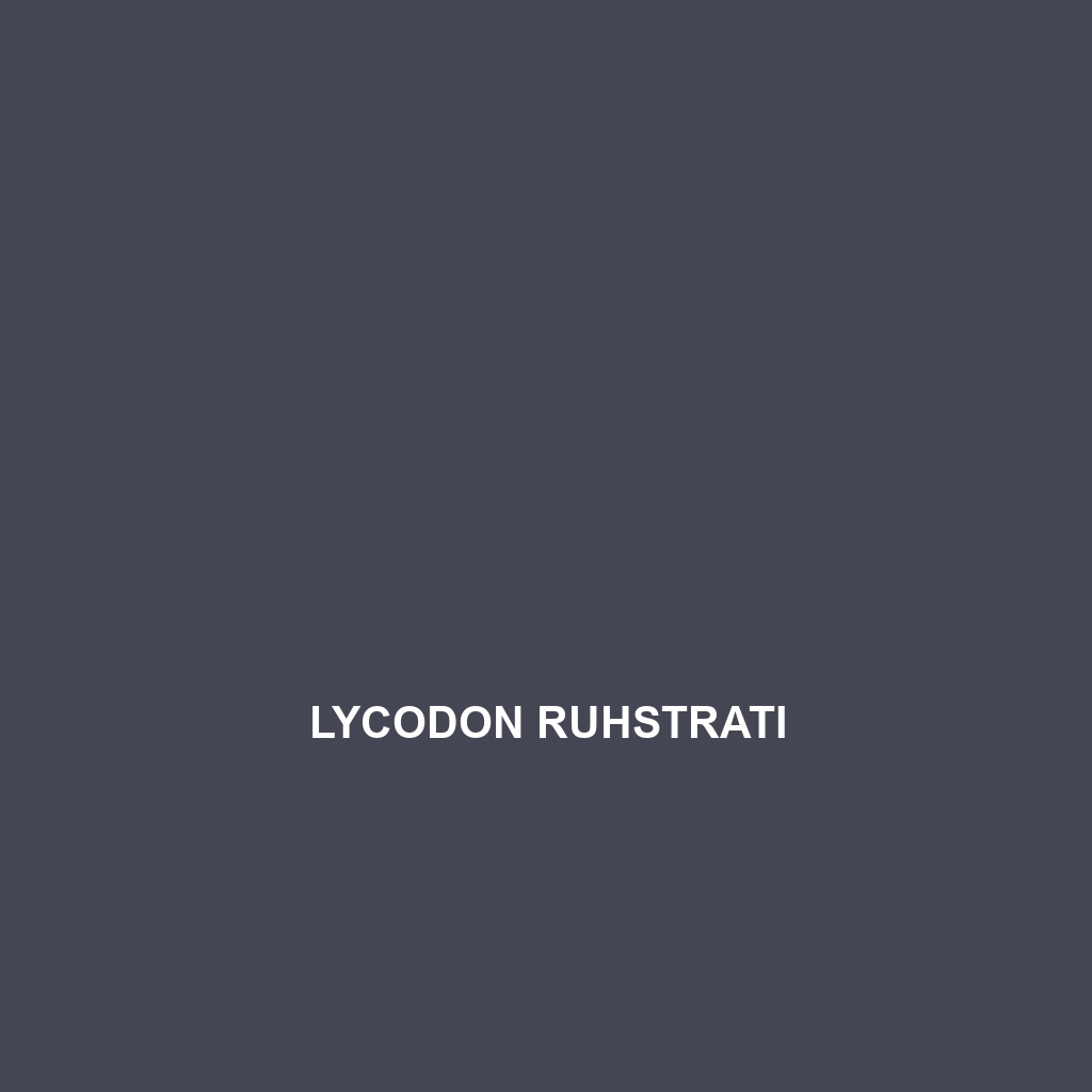 Lycodon ruhstrati