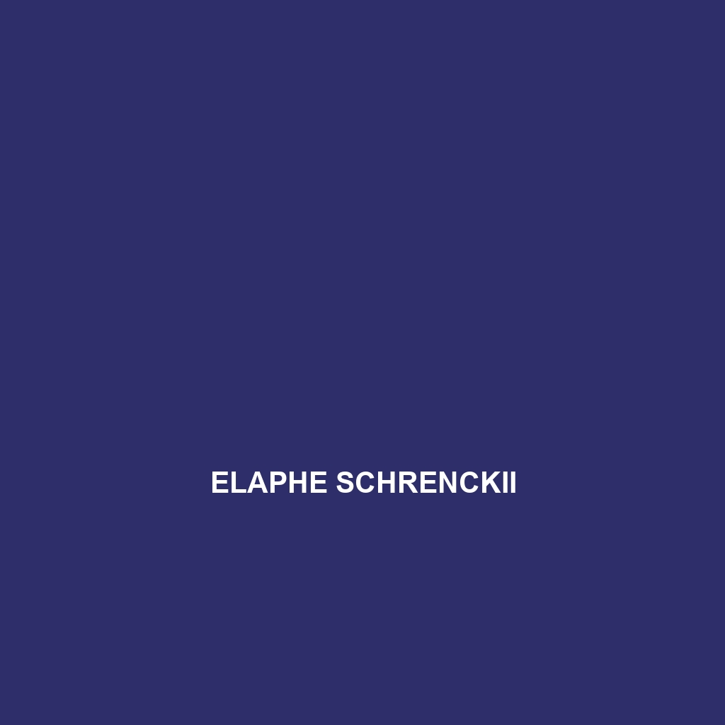 Elaphe schrenckii