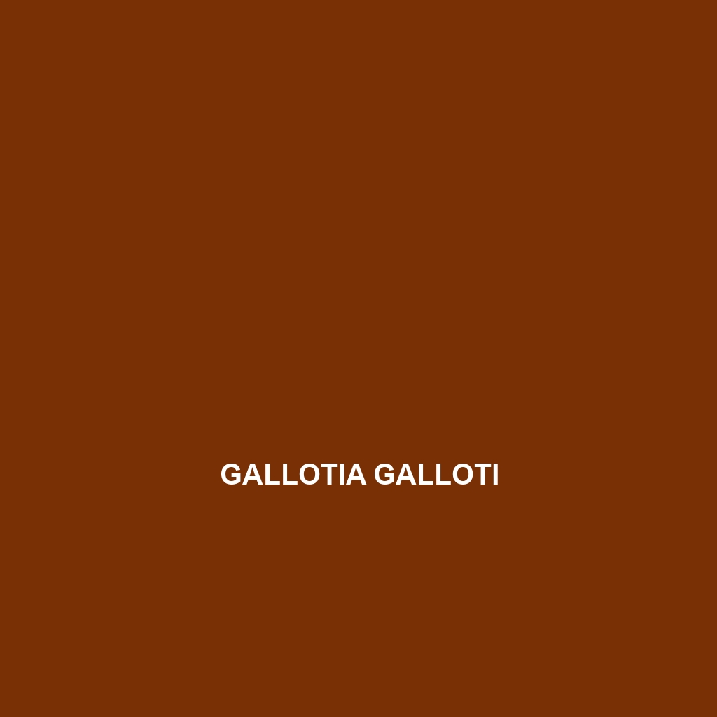 Gallotia galloti