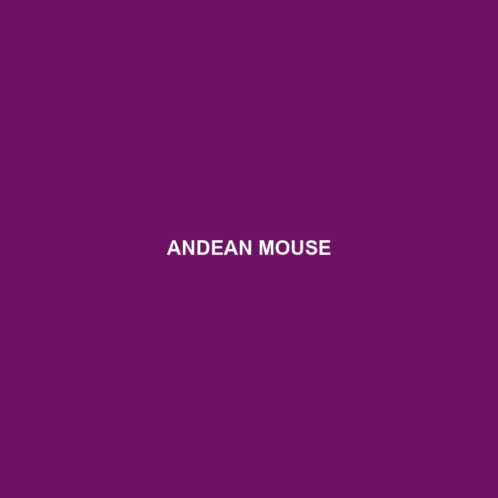 Andean Mouse