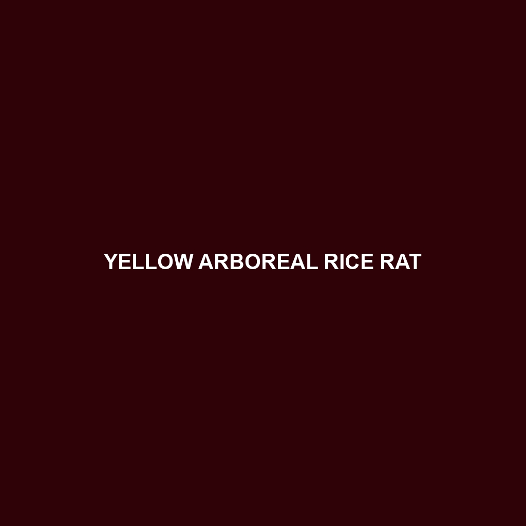 Yellow Arboreal Rice Rat