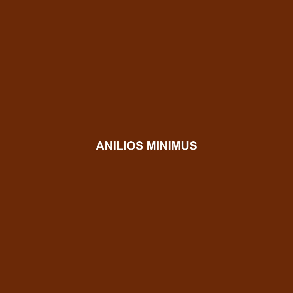 Anilios minimus