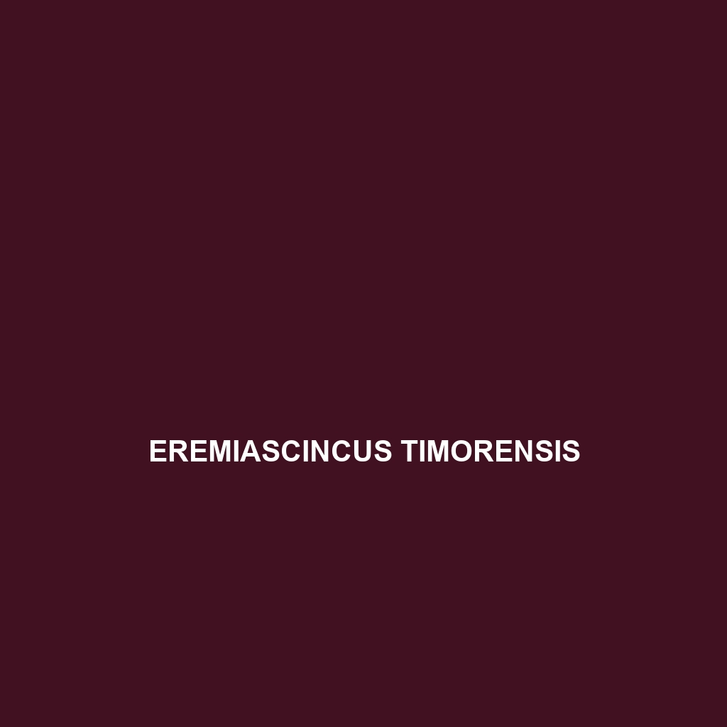 Eremiascincus timorensis